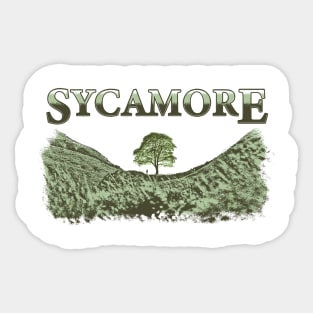 Sycamore Gap Tree Sticker